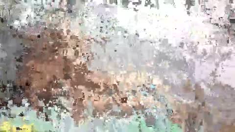 SaraCattra online show from 09-12-25, 10:48