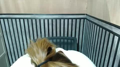 Snapshot of prettykate_04 chatting on 10-08-25, 07:00 Kate online show from 10-08-25, 07:00