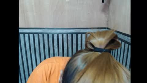 Snapshot of prettykate_04 chatting on 11-07-25, 06:08 Kate online show from 11-07-25, 06:08