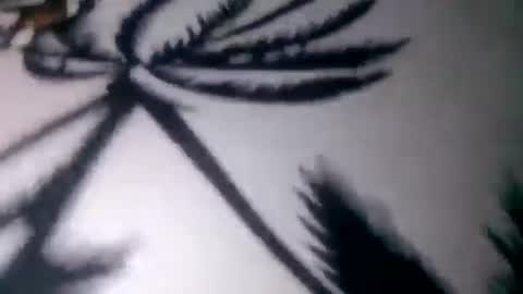 prettyrose01 online show from 07-03-26, 11:00