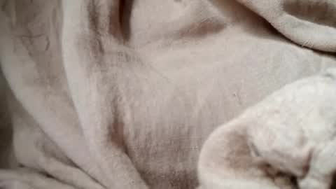 prettyrose01 online show from 07-14-26, 10:48