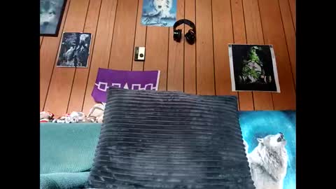 prettysolid7 online show from 10-13-25, 01:11