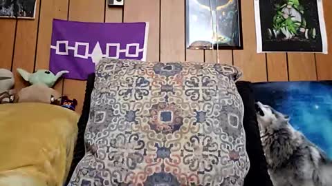 prettysolidd7 online show from 01-28-25, 08:57