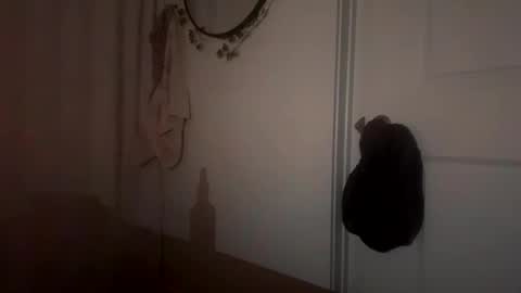 prettything11 online show from 11-10-25, 03:16