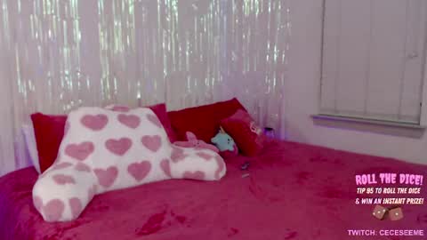 Cece  NEXT LIVESTREAM -- DEC. 4th  7 PM CST online show from 03-29-26, 03:28