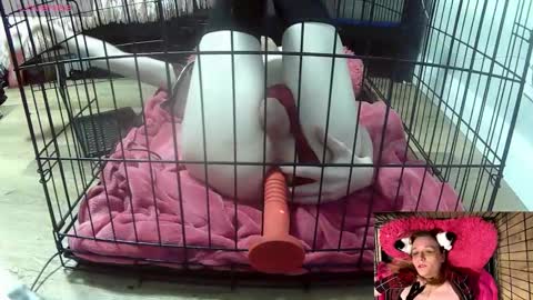 PrIncessJulia0X online show from 02-03-26, 02:10