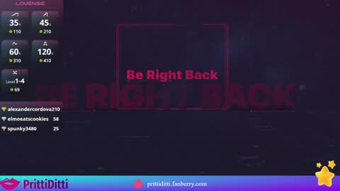 PrittiDitti online show from 01-21-25, 11:02