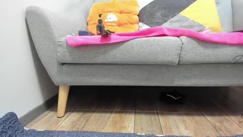 PrittiDitti online show from 01-22-25, 02:04