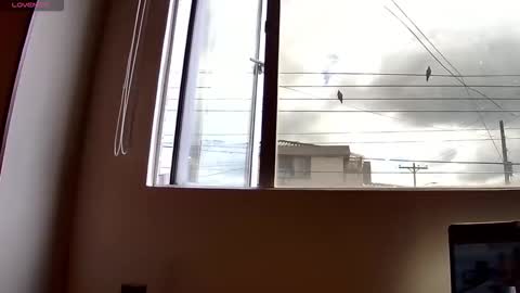 Probardetodo independent model online show from 12-03-25, 02:15