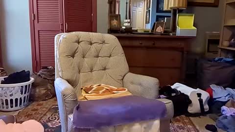 professorspanky online show from 01-27-25, 05:04