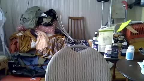 projectorepson online show from 06-21-26, 04:20