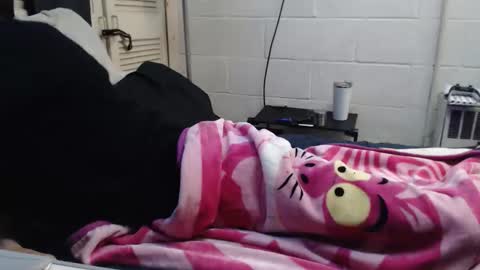 Snapshot of puff0169 chatting on 03-15-26, 03:56 puff0169 online show from 03-15-26, 03:56