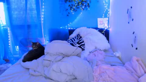 Snapshot of pufpufog chatting on 05-13-26, 02:25 EsteticHouse online show from 05-13-26, 02:25