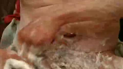 pulepower online show from 11-23-25, 09:09