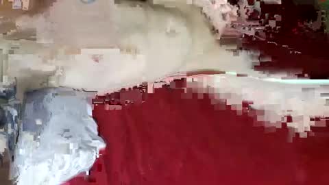 pumpingyoufull online show from 12-19-24, 05:07