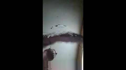 pumpingyoufull online show from 03-02-25, 08:29