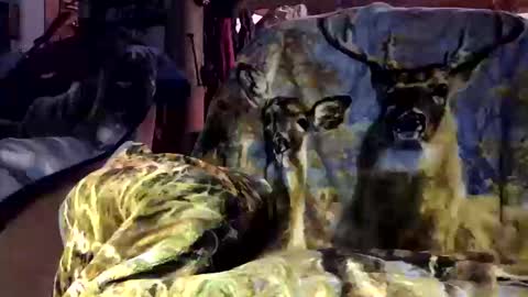 Snapshot of pumpslurrys chatting on 10-12-25, 11:26 pumpslurrys online show from 10-12-25, 11:26