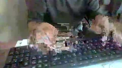 Snapshot of pup_y chatting on 09-17-25, 02:52 pup_y online show from 09-17-25, 02:52