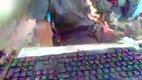 Snapshot of pup_y chatting on 09-20-25, 03:02 pup_y online show from 09-20-25, 03:02