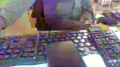 pup_y online show from 12-16-25, 10:53