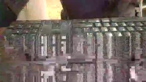 pup_y online show from 02-02-26, 08:35