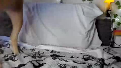 Rhys online show from 02-02-25, 02:38