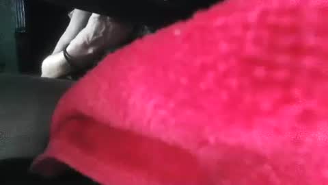 Puppah626  Phoenyx 39s Room online show from 01-01-25, 05:00