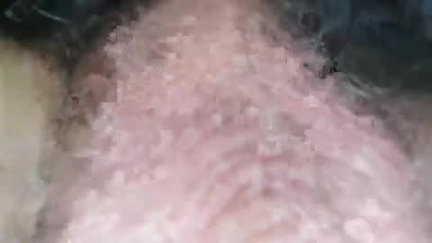 Puppah626  Phoenyx 39s Room online show from 01-01-25, 08:04