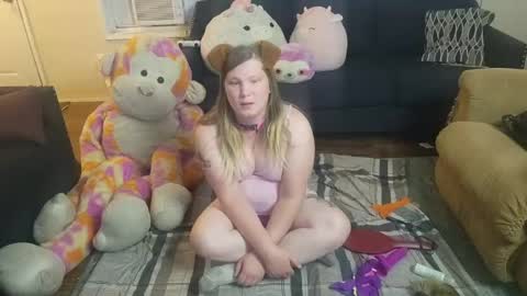Snapshot of puppygirllovestobeg chatting on 08-04-26, 07:33 puppygirllovestobeg online show from 08-04-26, 07:33