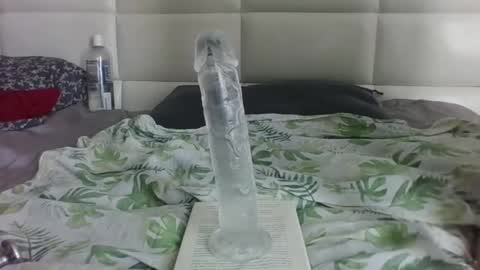 Snapshot of purplelotusgirl chatting on 11-07-25, 08:25 purplelotusgirl online show from 11-07-25, 08:25