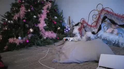 Snapshot of purplerainn69 chatting on 12-15-24, 02:37 PurpleRainn69 Dina online show from 12-15-24, 02:37