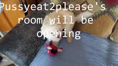 Snapshot of pussyeat2please chatting on 02-23-25, 10:39 Rick online show from 02-23-25, 10:39