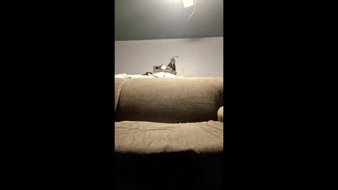 Snapshot of pussylicker517038 chatting on 04-29-26, 02:37 pussylicker517038 online show from 04-29-26, 02:37