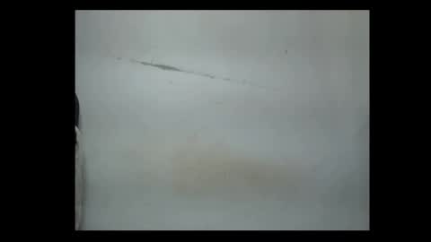 pussyxwetx online show from 02-04-26, 08:14