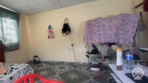 Snapshot of putiputisexo chatting on 05-09-26, 09:31 putinaicolls online show from 05-09-26, 09:31