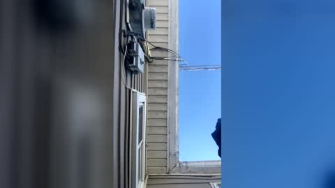 pyrex8 online show from 02-10-26, 02:32