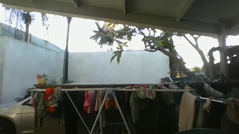 Python online show from 10-09-25, 02:42