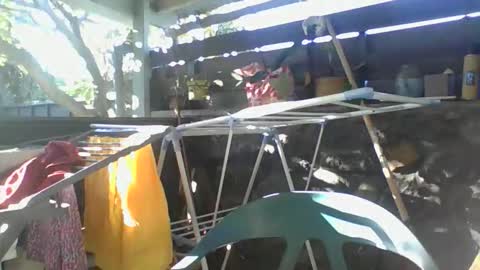 Python online show from 05-10-26, 04:28