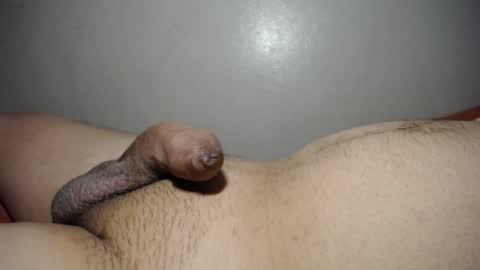 qqqwer21 online show from 01-30-25, 05:52