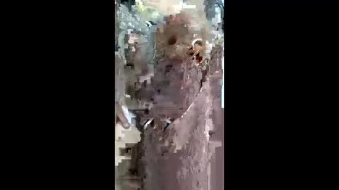 Snapshot of queen_2028 chatting on 03-29-26, 08:58 queen_2028 online show from 03-29-26, 08:58