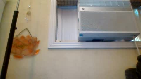 queencrimsonlvx online show from 07-23-26, 03:54