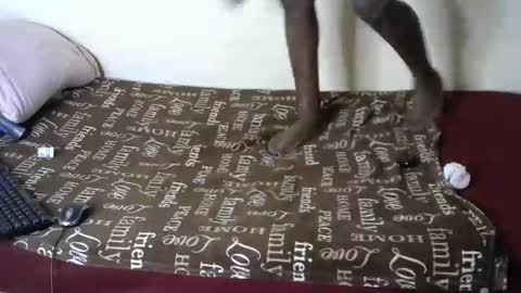 Snapshot of queenmojo_1_1 chatting on 01-04-25, 09:10 melly online show from 01-04-25, 09:10