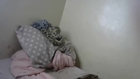 Snapshot of queenmojo_1_1 chatting on 01-31-25, 11:13 melly online show from 01-31-25, 11:13