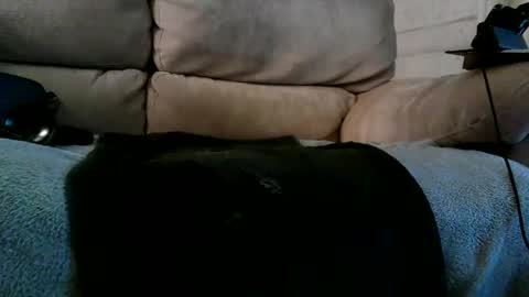 Bi daddy online show from 12-10-24, 06:28