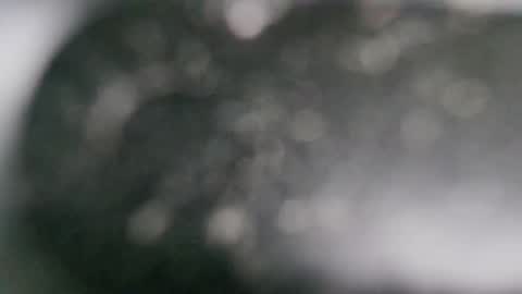 Dmitry online show from 01-21-25, 07:06