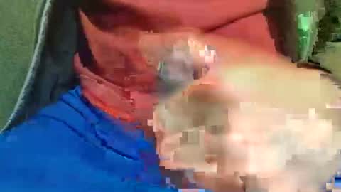 Raccoon68 online show from 05-01-26, 07:51