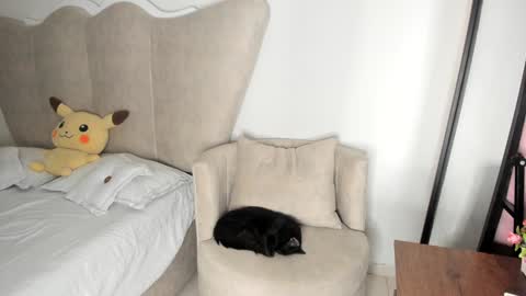 natalia  -  online show from 12-17-24, 08:12