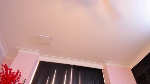 Rachel online show from 12-23-24, 03:01