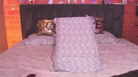 Snapshot of radeonrx_69 chatting on 02-12-26, 04:29 Sebas Andres online show from 02-12-26, 04:29