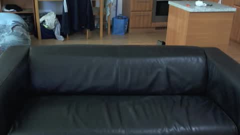 Snapshot of rafaelosteel chatting on 11-01-25, 01:07 rafaelosteel online show from 11-01-25, 01:07